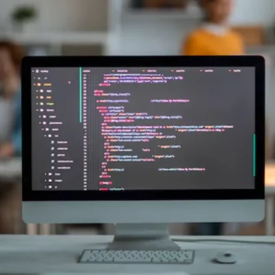 web developers